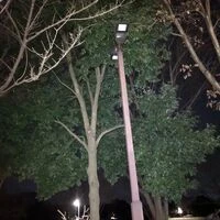 画像1396
